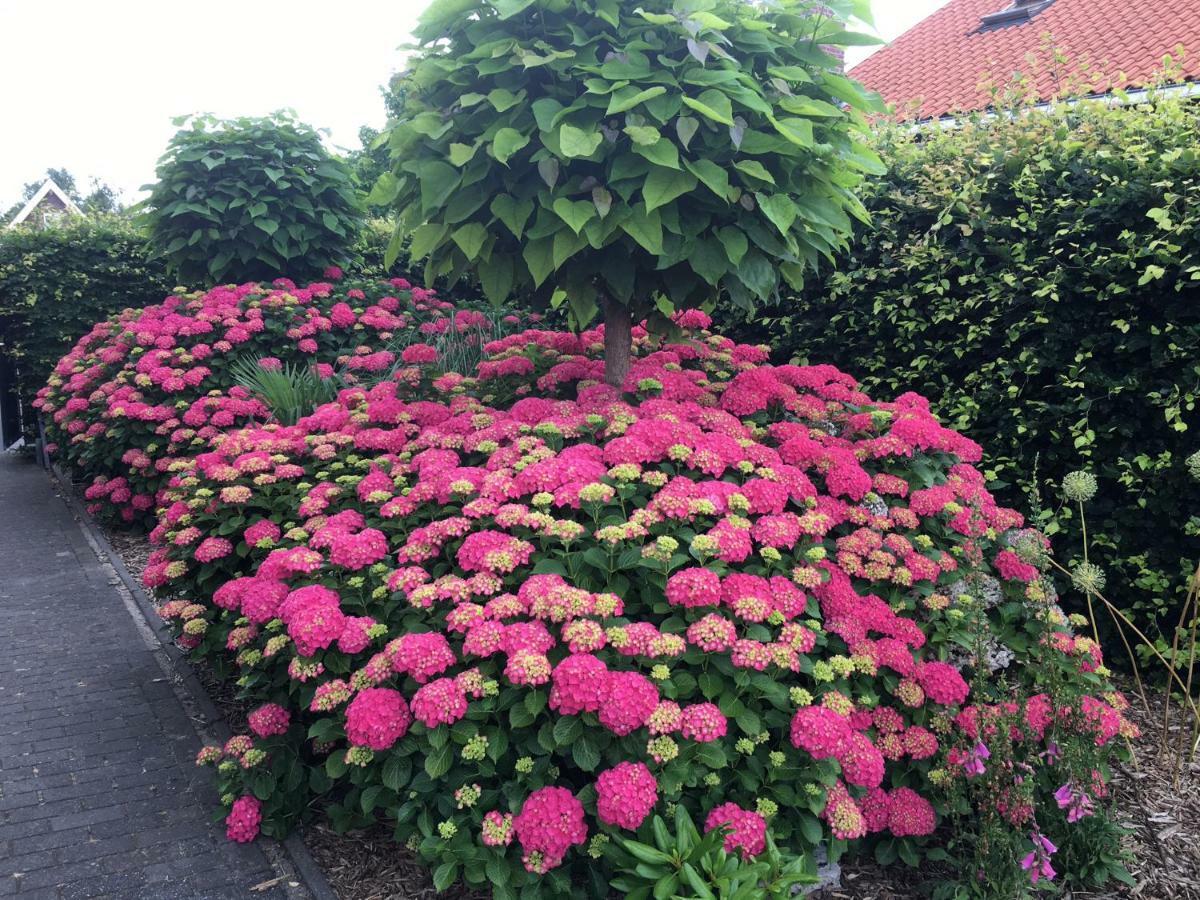 Апартаменты Amsterdam Countryside Met Airco ,Geweldig Uitzicht, Luxe Keuken,Wasmachine,Droger,Gratis Fietsen Den Ilp Экстерьер фото