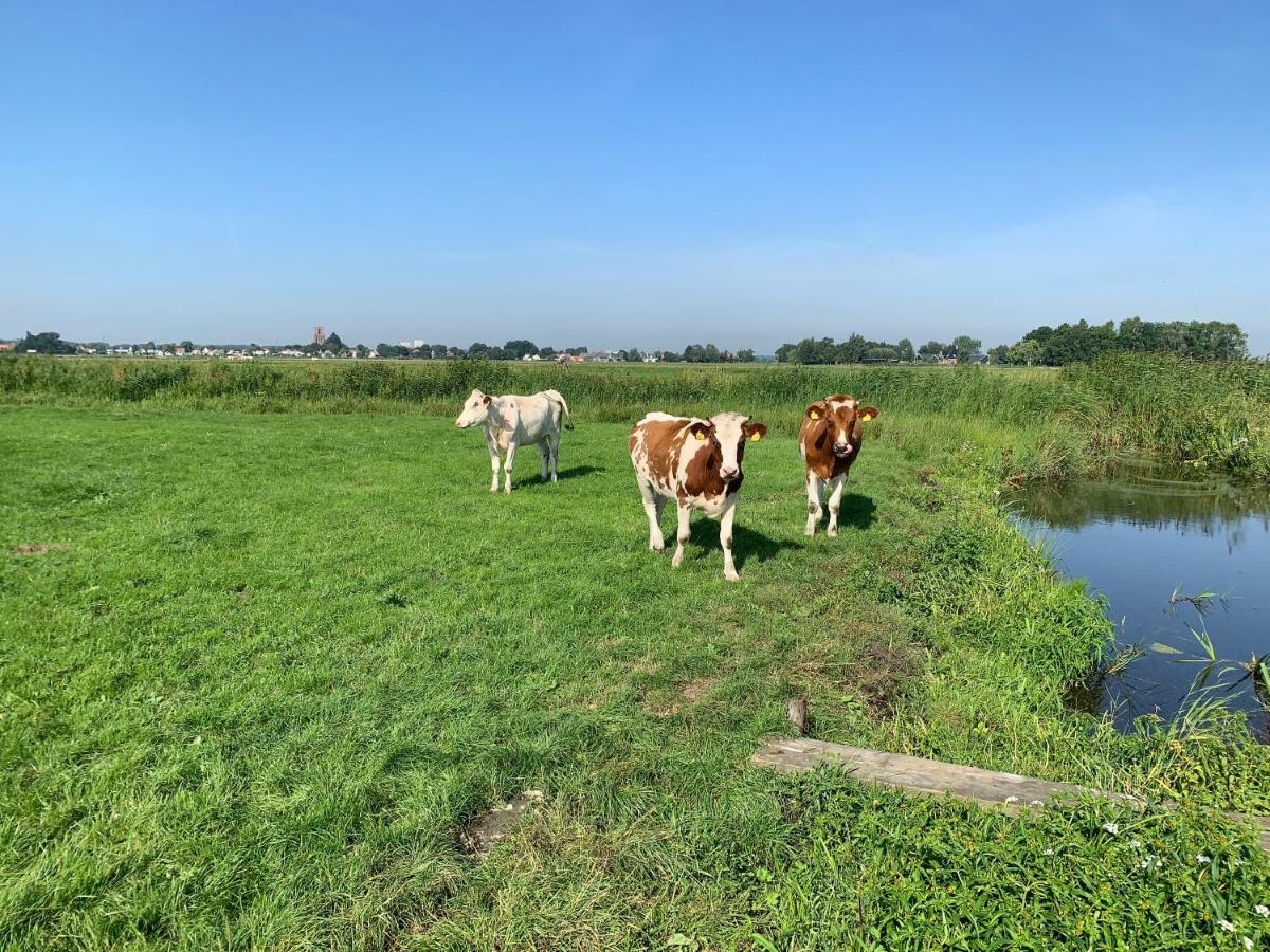 Апартаменты Amsterdam Countryside Met Airco ,Geweldig Uitzicht, Luxe Keuken,Wasmachine,Droger,Gratis Fietsen Den Ilp Экстерьер фото